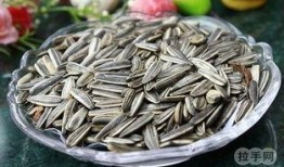 热门大瓜子,零食界的明星产品